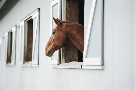 Horse Barn Photography