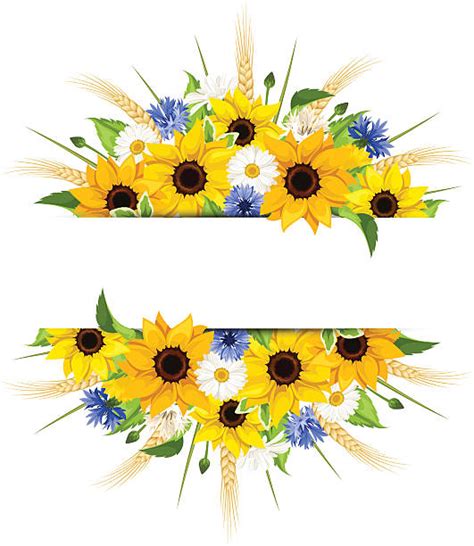 Sunflower Bouquet Illustrations Royalty Free Vector