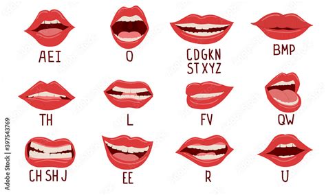 Mouth Animation Alphabet Pronunciation Lip Position While Talking