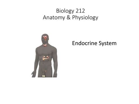 Ppt Biology 212 Anatomy And Physiology Powerpoint Presentation Free