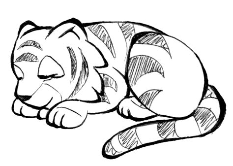 Tiger Doodle By Princess Phoenix On Deviantart