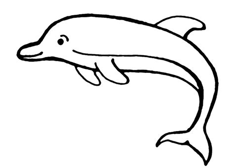Dies coloriage dauphin à imprimer geladen von eckard seiler von der öffentlichkeit domain, die es von google finden können oder alles, hat andere suchmaschine und von ihm unter dem thema mitgeteilt malvorlage delphin zum ausdrucken. Pin on ausmalbilder