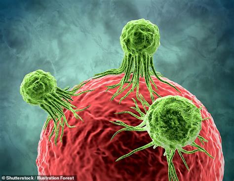 New Vaccine Hope As Viruses Are Discovered In One In Eight Tumours