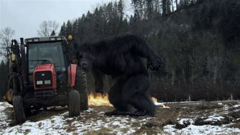 Bigfoot Filmkritik Film Tv Spielfilm