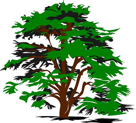 Free Tree Vector Png Download Free Tree Vector Png Png Images Free Cliparts On Clipart Library