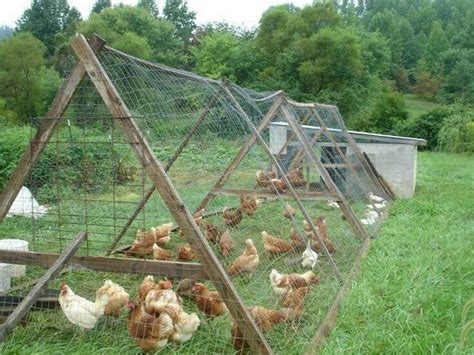 Jul 05, 2021 · also you can get yourself a nice guard bird can go a long way. Do it Yourself (DIY) Chicken Run - Keeping the Hens Happy With Their Own Nesting Box (5) in 2020 ...