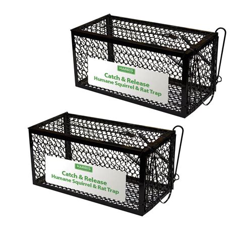 Making a live trap for coon and larger animals from a dog kennel. Harris Catch and Release Humane Squirrel and Rodent Cage ...