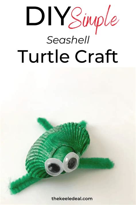 Seashell Turtle Craft The Keele Deal