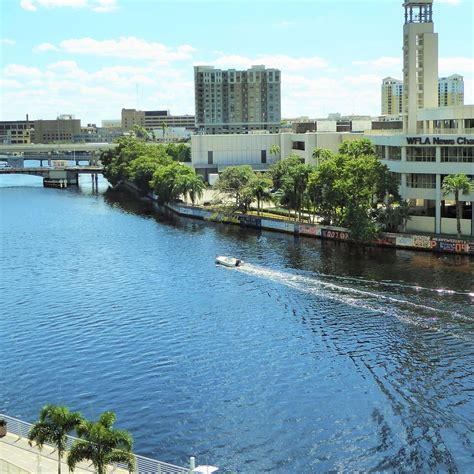 Hillsborough River Tampa Ce Quil Faut Savoir Pour Votre Visite
