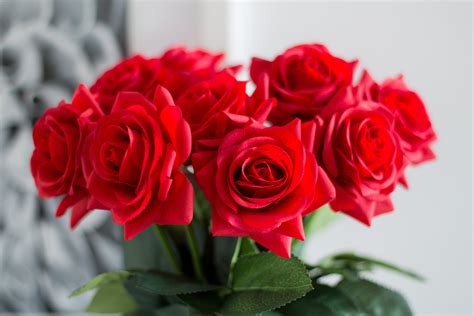 Red Rose Real Flowers Images Rose Fresh Flowers Catalog Flora Export