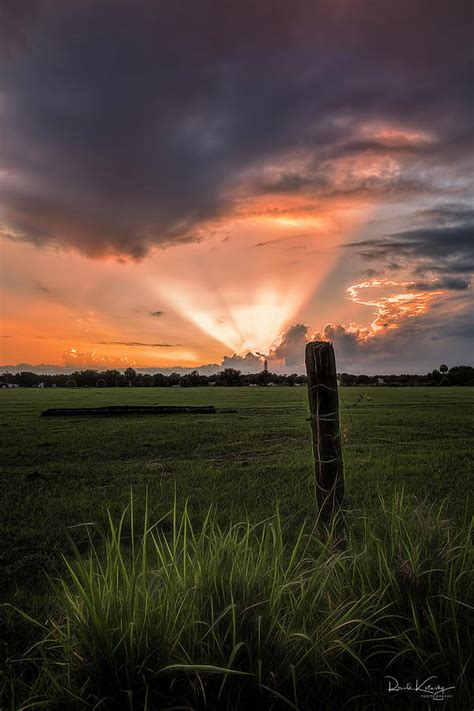 Sunset At The Farm Photograph By Ronald Kotinsky Fine Art America