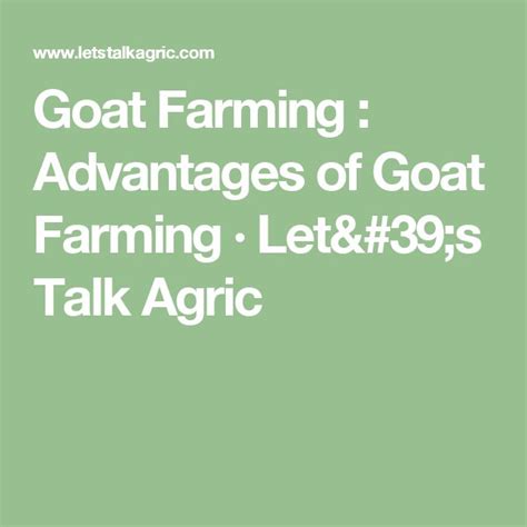 Goat Farming Advantages Of Goat Farming · Lets Talk Agric Goat