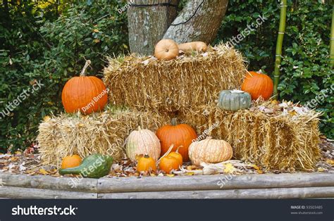 Image Result For Autumn Floor Display Hay Pumpkins Autumn Display