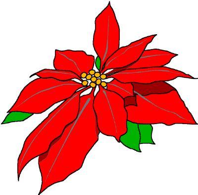 Download 111 poinsettia cliparts for free. Clip Art Poinsettia - ClipArt Best