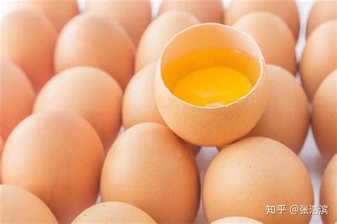 蛋鸡知识系列（一）——鸡蛋的结构 知乎