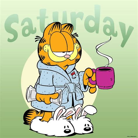 Image May Contain Text Garfield Cartoon Saturday Cartoon Garfield