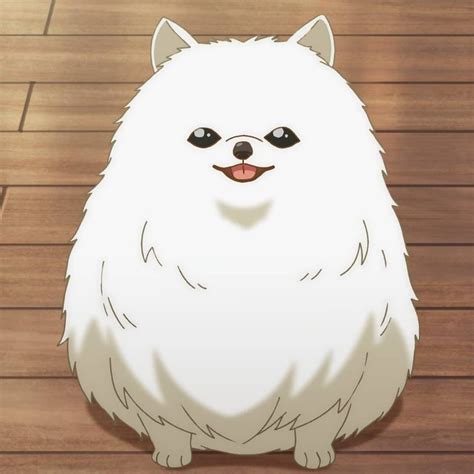 Tama Is One Kind Of Dog I Want To Adopt 😗💕 Anime Cute Anime Profile