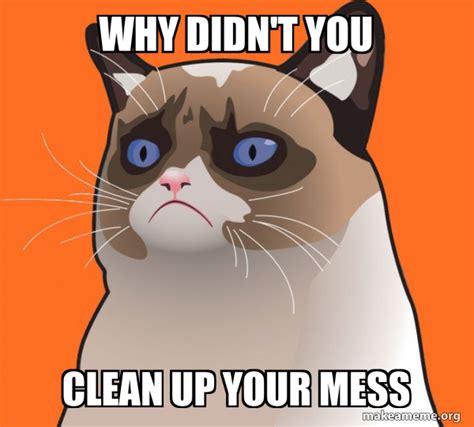 Why Didnt You Clean Up Your Mess Cartoon Grumpy Cat Make A Meme