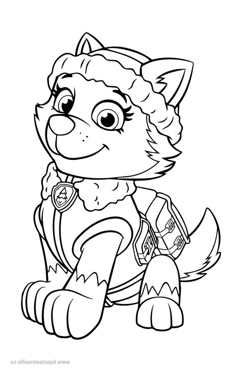 Coloriage A Imprimer Pat Patrouille Inspirant Galerie Coloriage De Everest à Colorier – La Pat