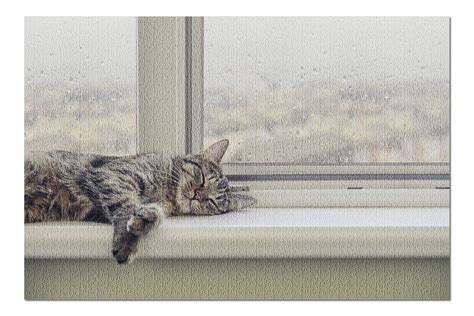 Cute Cat Sleeping On A Window Sill Overlooking A City 9020339 20x30
