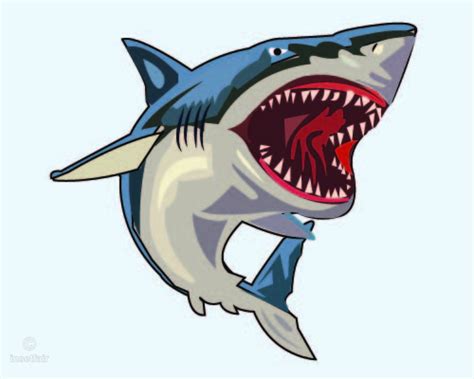 Angry Shark Vector Png Illustration For Free Download Shark