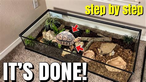 Best Diy Tortoise Enclosure Setup For Baby Sulcata Tortoise Super