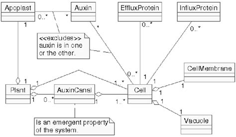 The Domain Model Class Diagram Download Scientific Diagram