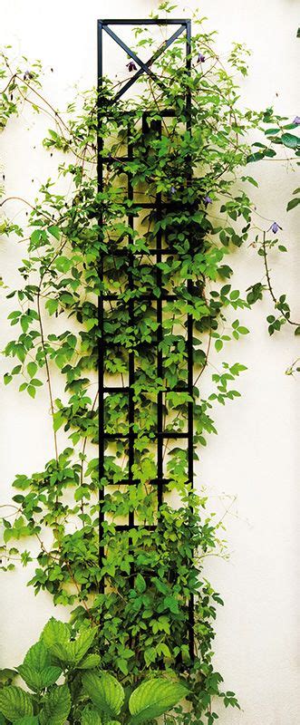 These 10 piece metal planter box set with trellis are a great choice for both residential and commercial landscape design. Espalier Metal Wall Trellis. Elegant, solid narrow wall ...