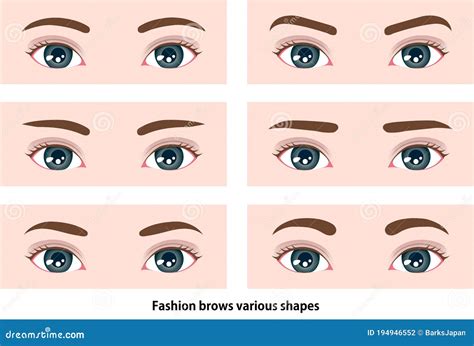 Female Eyebrows In Different Shapes Female Eyes With Different Forms