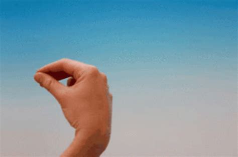 Italian Gesture Gesture GIF Italian Gesture Gesture Discover