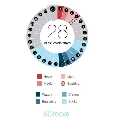 Cervical Mucus Cycle Fertility Chart Cervical Mucus Chart Uterine