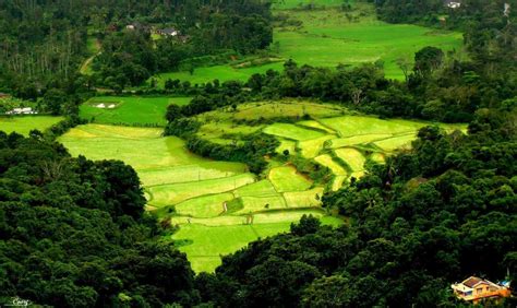 Coorg Wallpapers Top Free Coorg Backgrounds Wallpaperaccess