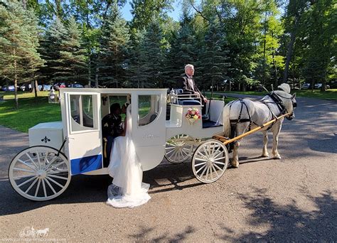 Weddings Carriage Limousine Service Wedding Carriage Horse And