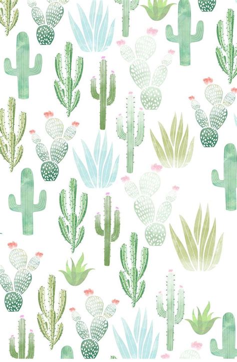 Cute Cartoon Cactus Wallpaper Kaktus Naadloze Schattige Fisuras