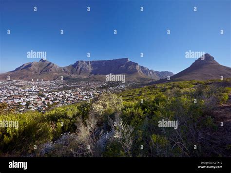 Cape Town Table Mountain And Lions Head Viewed From Signal Hill