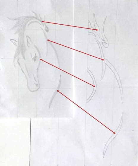Make A Horse Jack O Lantern Horse Lovers Math