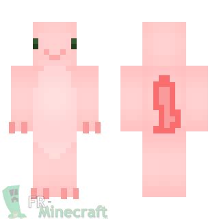 We did not find results for: Minecraft Skin Minecraft : Axolotl