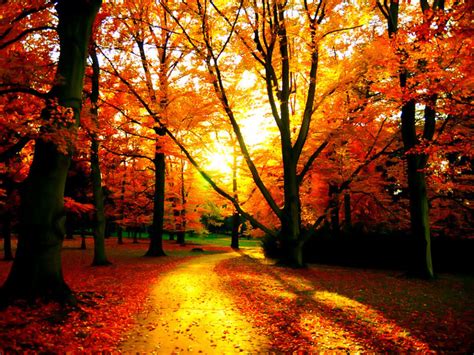 Fall Autumn Wallpaper Widescreen 5511 4624 Wallpaper Cool Wallpaper