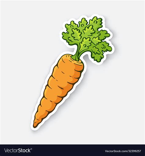 Carrot With A Stem Green Leaves Royalty Free Vector Image