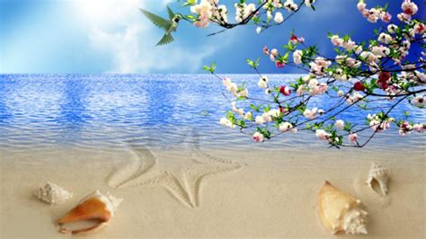 Spring Beach Wallpapers Top Free Spring Beach Backgrounds