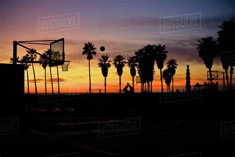 Silhouettes Of Palm Trees And Basketball Hoop At Santa Monica Beach