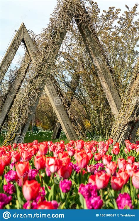 Check spelling or type a new query. Britzer Garten, Berlin, Deutschland - 16. April 2020: Die ...