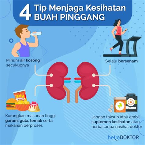#3 gemar makan makanan masin. Buah Pinggang Gagal Berfungsi: Ini Info Lengkap Tentang ...