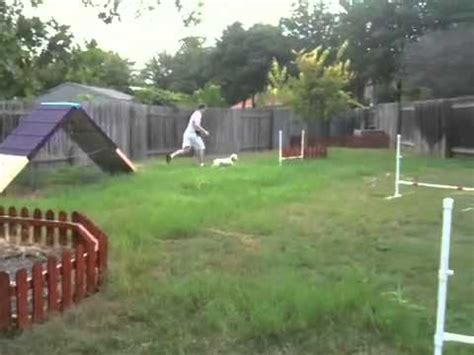 Usdaa united states dog agility assoc. Ruby on homemade dog agility course - YouTube