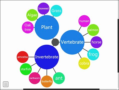 Spider Diagram In Excel Photos Cantik