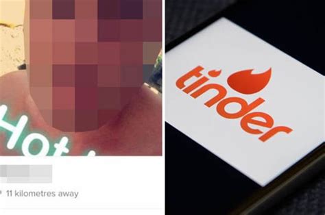 Tinder Profile Women Joke They’ve ‘found The One’ After Man’s Brutally Honest Bio Daily Star