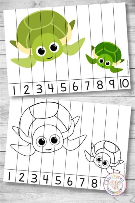 Turtle Numbers Worksheets Preschool