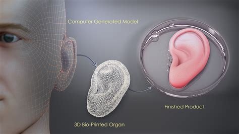Bioprinting Scientific Animations