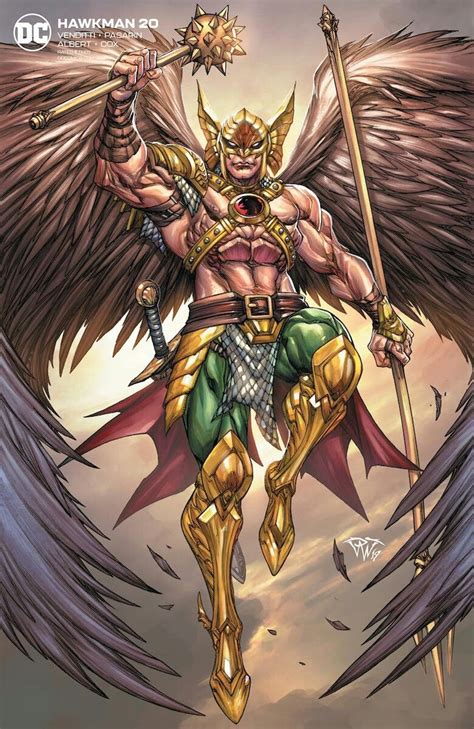 Hawkman Hawkman Dc Comics Heroes Comics Universe