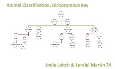 Dichotomous key - Zoo Animal Classification
